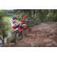 RIEJU MR 300i HARD ENDURO