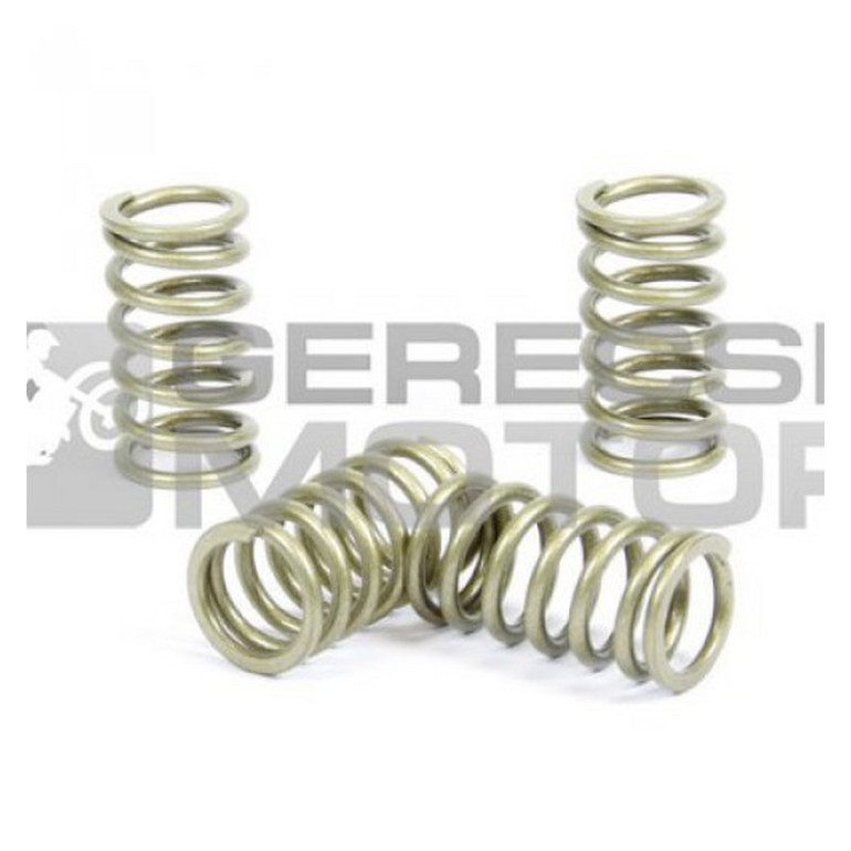 Kuplung rugó szett PROX