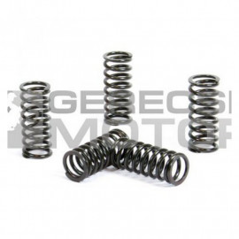 Kuplung rugó szett PROX