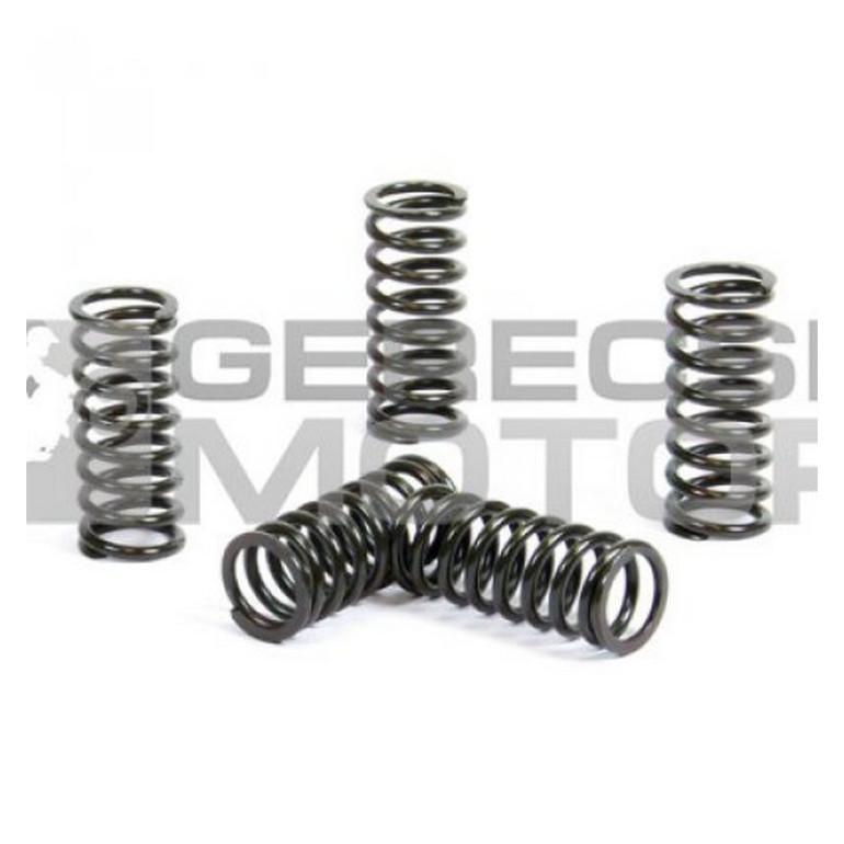 Kuplung rugó szett PROX