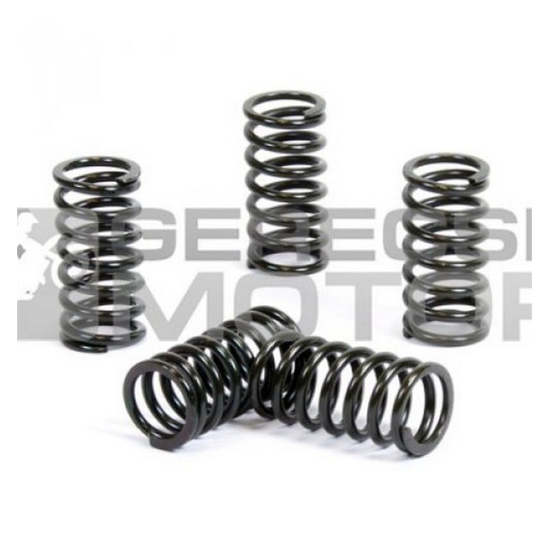 Kuplung rugó szett PROX