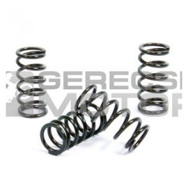 Kuplung rugó szett PROX