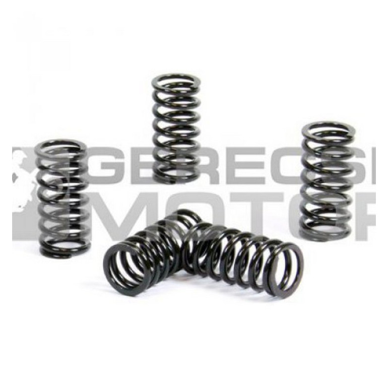 Kuplung rugó szett PROX