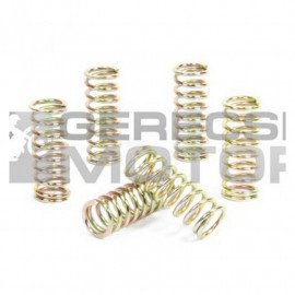 Kuplung rugó szett PROX