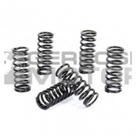 Kuplung rugó szett PROX