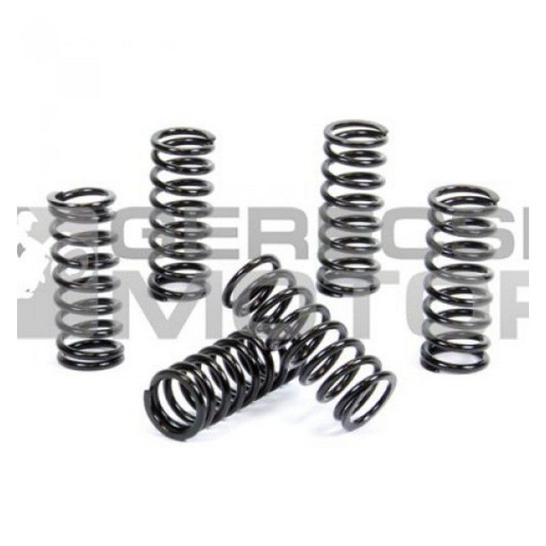 Kuplung rugó szett PROX