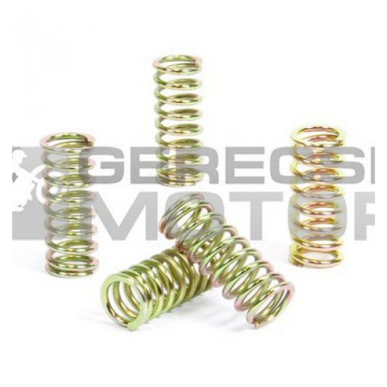 Kuplung rugó szett PROX