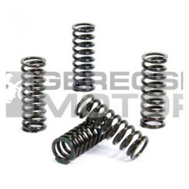 Kuplung rugó szett PROX