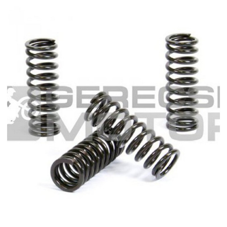 Kuplung rugó szett PROX