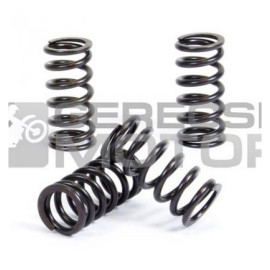 Kuplung rugó szett PROX