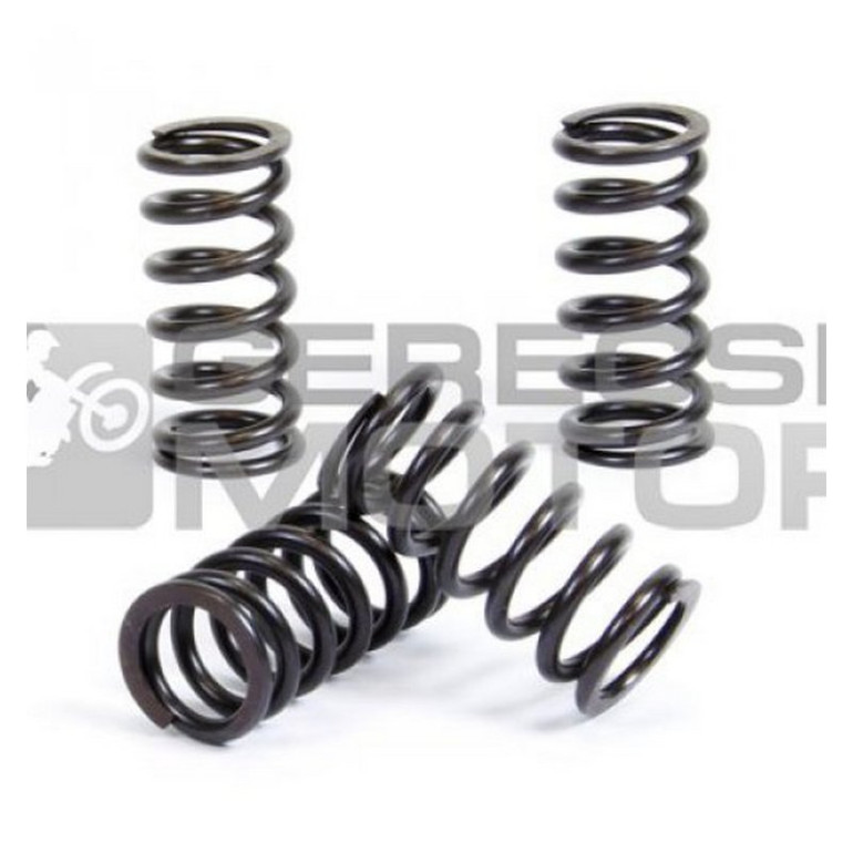 Kuplung rugó szett PROX