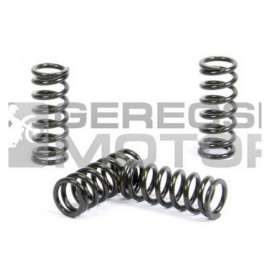 Kuplung rugó szett PROX