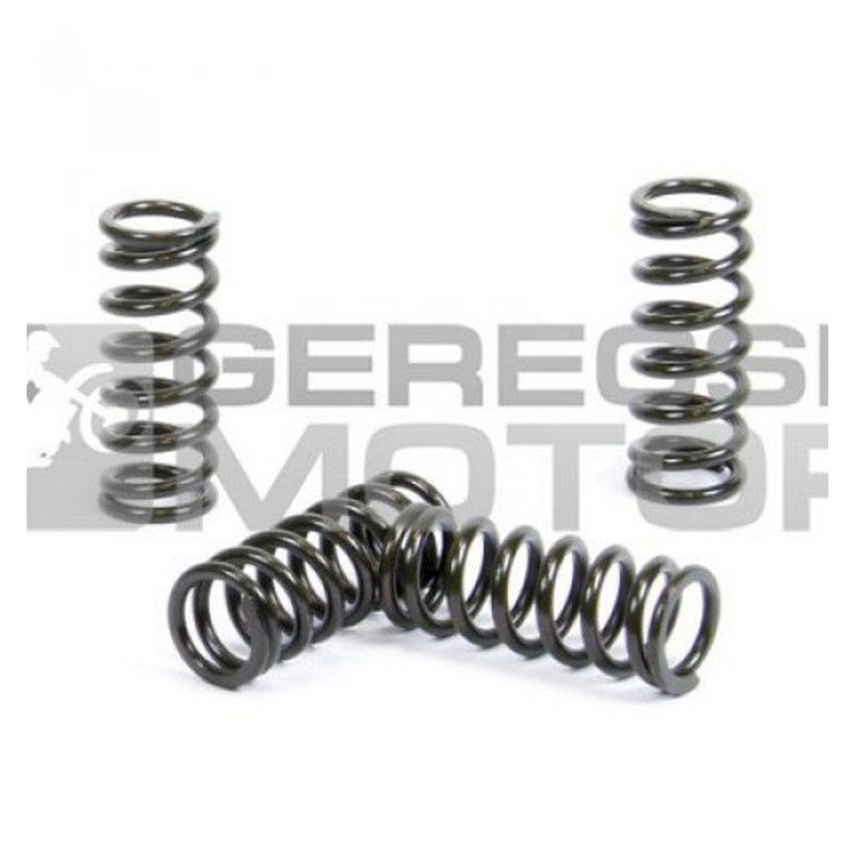 Kuplung rugó szett PROX