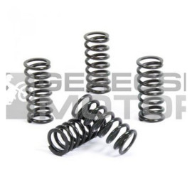 Kuplung rugó szett PROX