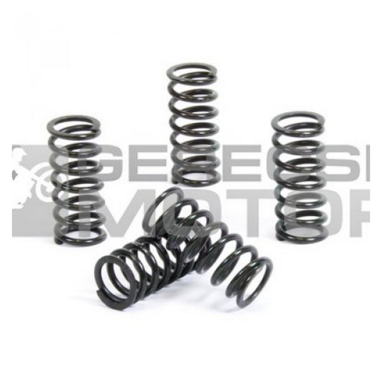 Kuplung rugó szett PROX