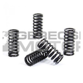 Kuplung rugó szett PROX