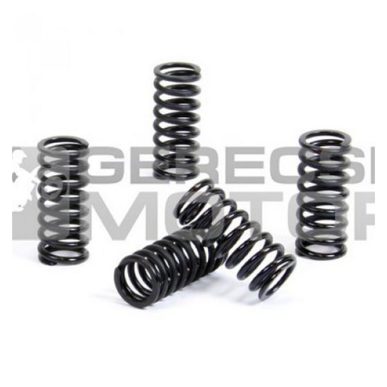 Kuplung rugó szett PROX