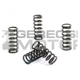 Kuplung rugó szett PROX