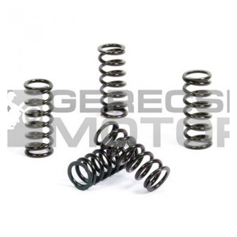 Kuplung rugó szett PROX