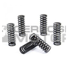 Kuplung rugó szett PROX