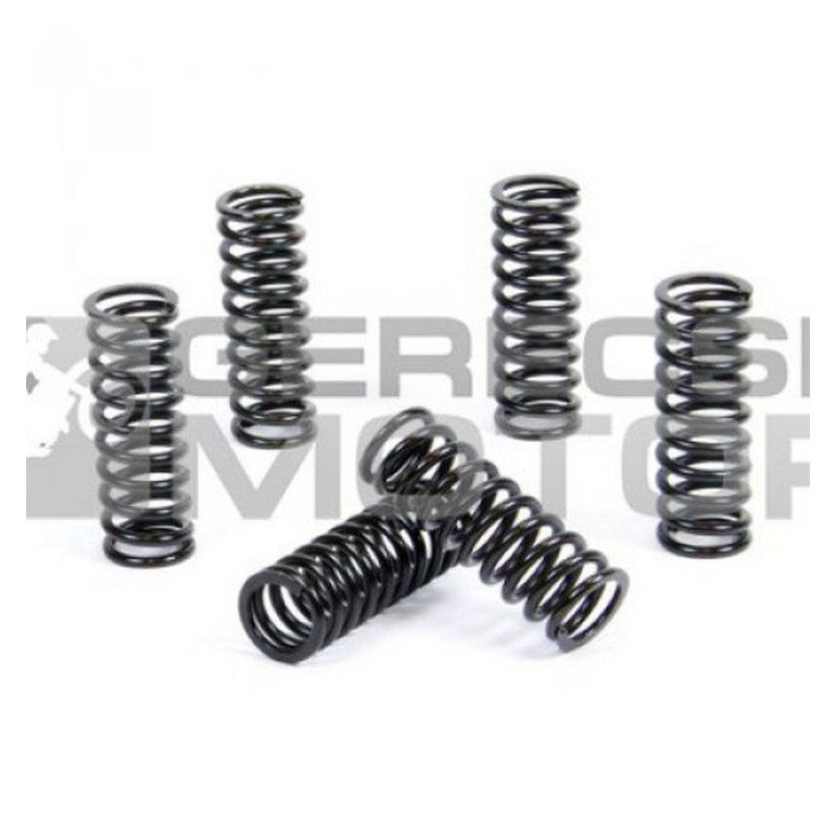 Kuplung rugó szett PROX