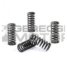 Kuplung rugó szett PROX