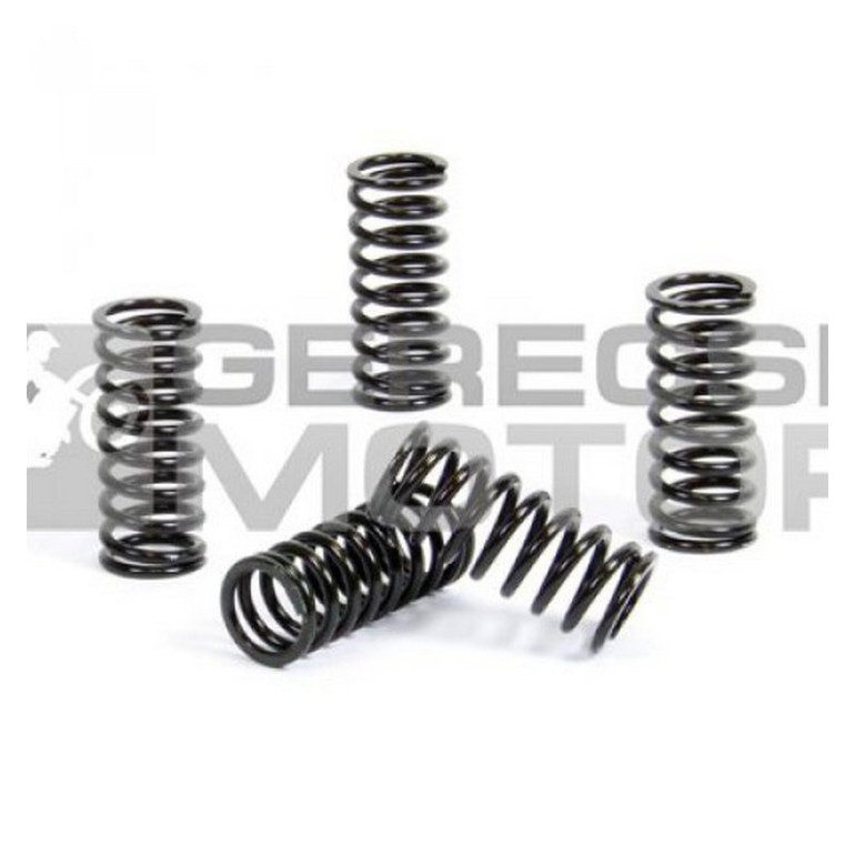 Kuplung rugó szett PROX