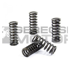 Kuplung rugó szett PROX