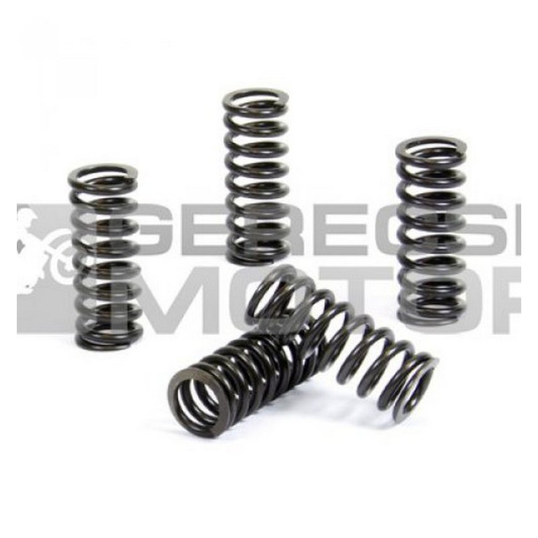 Kuplung rugó szett PROX