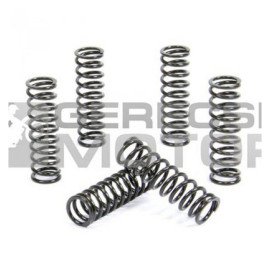 Kuplung rugó szett PROX