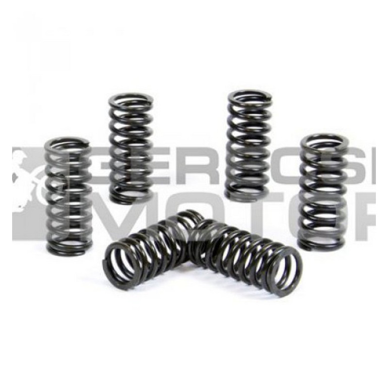 Kuplung rugó szett PROX