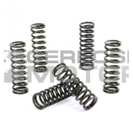 Kuplung rugó szett PROX