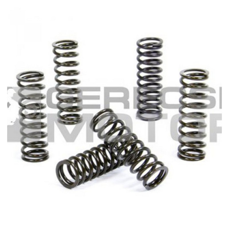 Kuplung rugó szett PROX