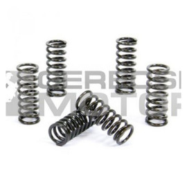 Kuplung rugó szett PROX