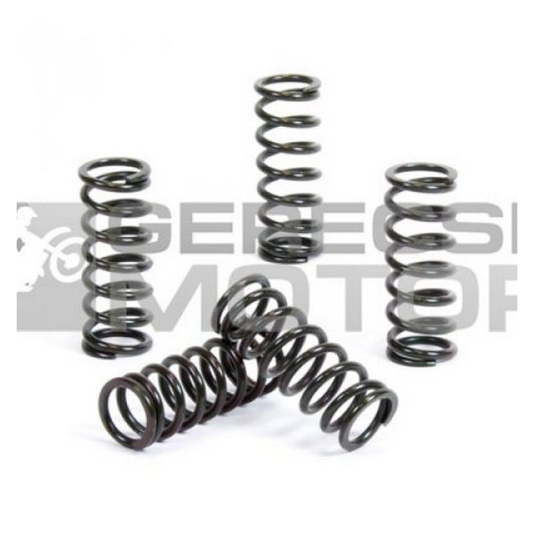 Kuplung rugó szett PROX