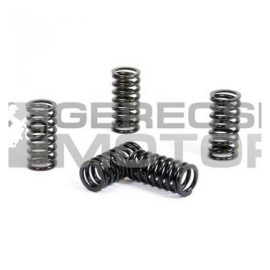 Kuplung rugó szett PROX