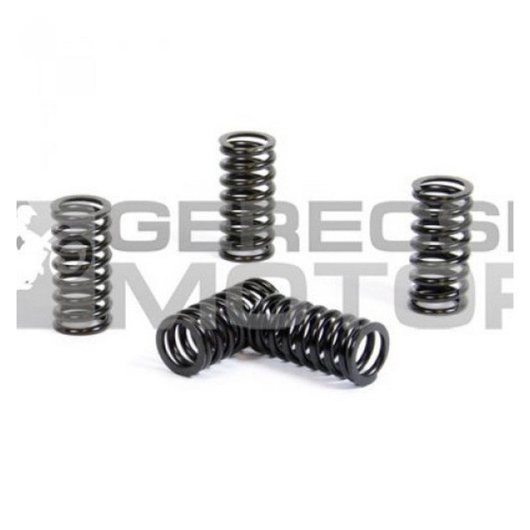 Kuplung rugó szett PROX