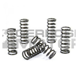 Kuplung rugó szett PROX