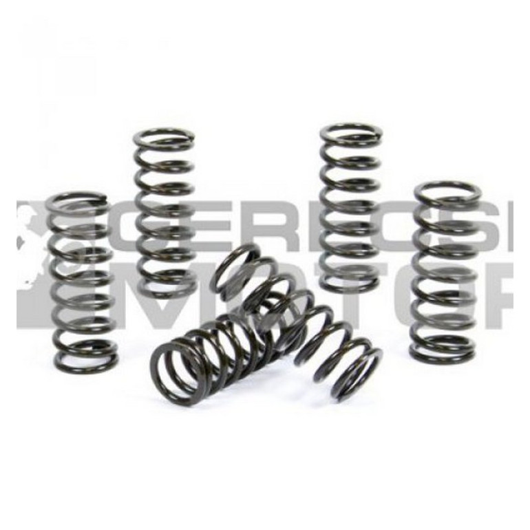 Kuplung rugó szett PROX