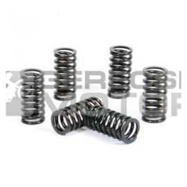 Kuplung rugó szett PROX