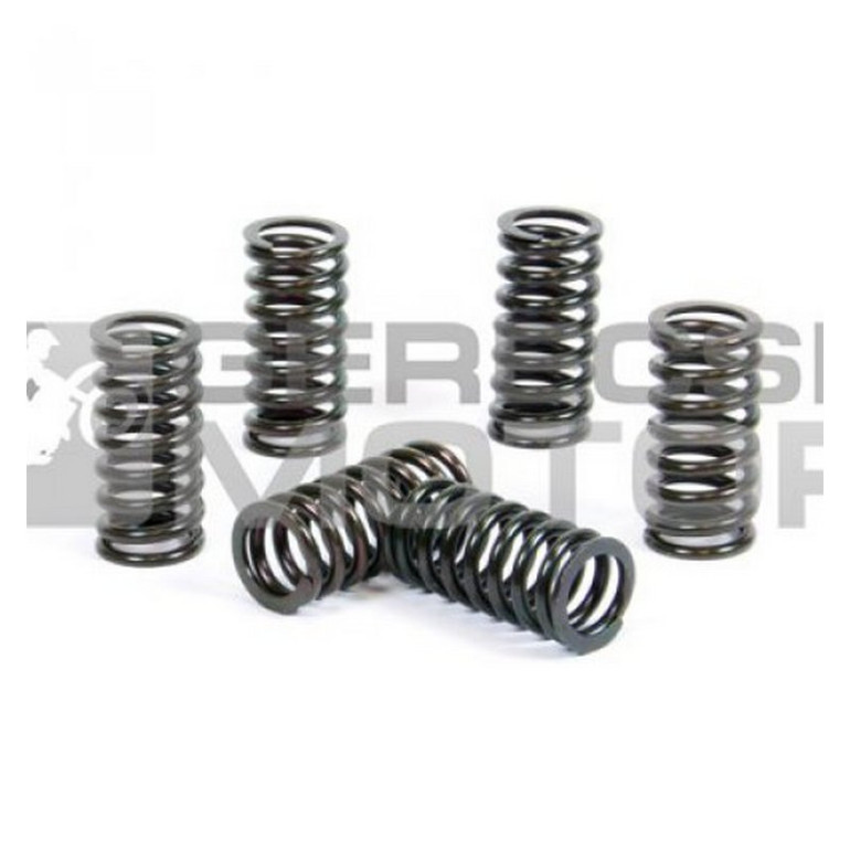 Kuplung rugó szett PROX