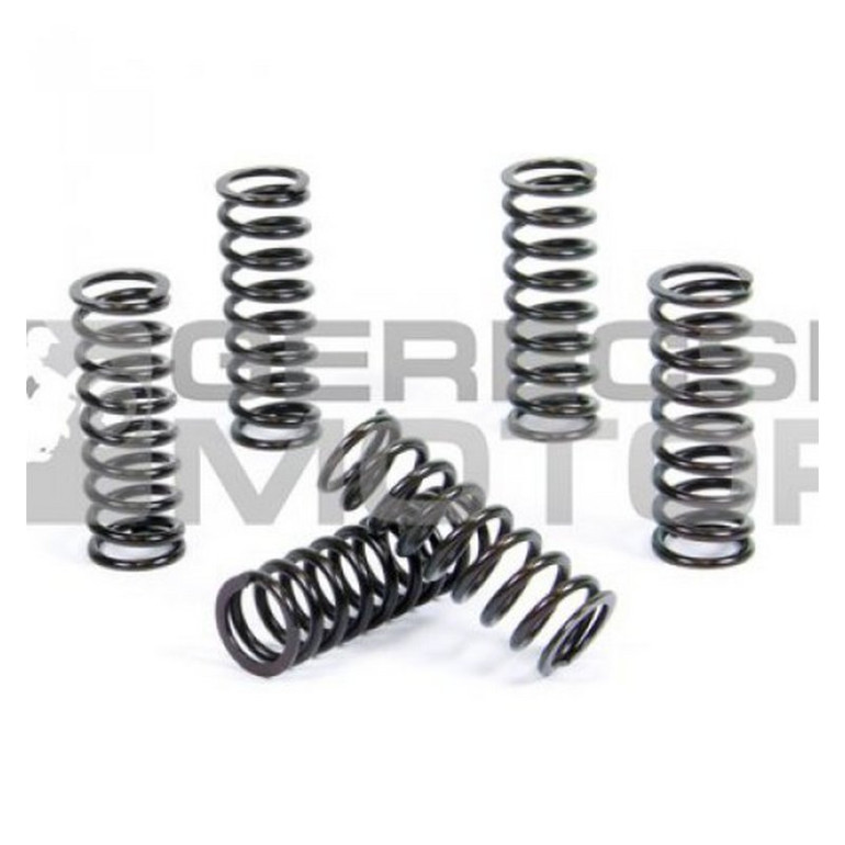 Kuplung rugó szett PROX