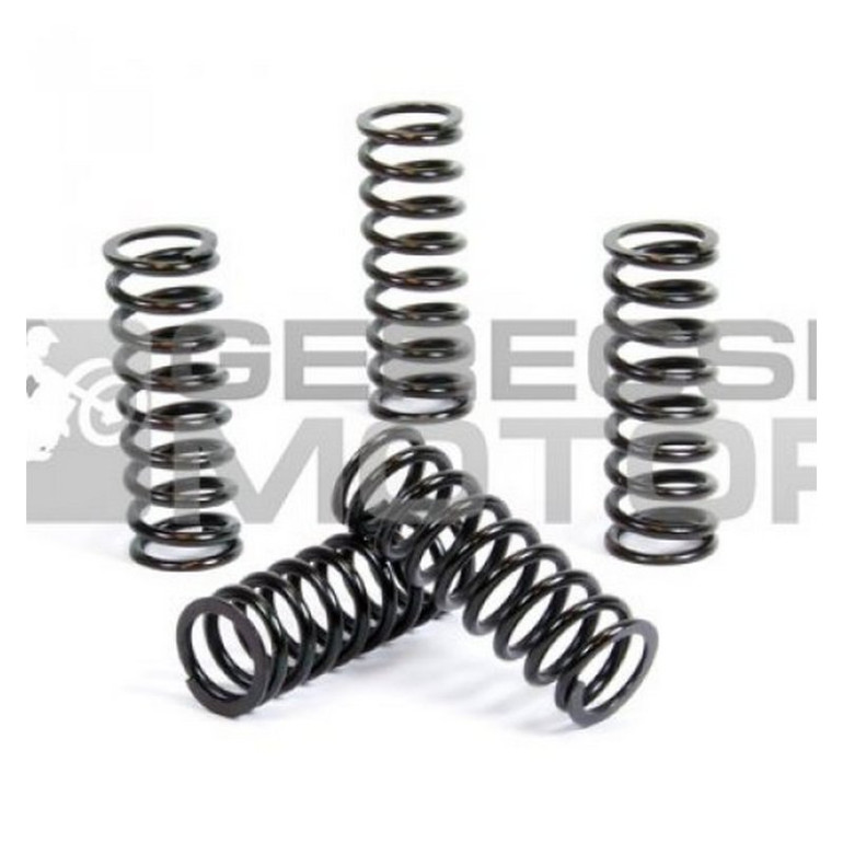 Kuplung rugó szett PROX