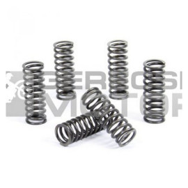 Kuplung rugó szett PROX