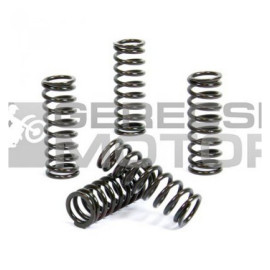 Kuplung rugó szett PROX