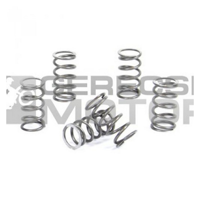 Kuplung rugó szett PROX