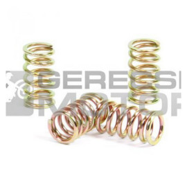 Kuplung rugó szett PROX