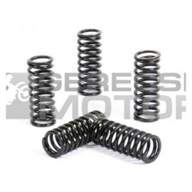 Kuplung rugó szett PROX