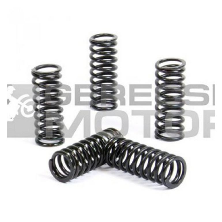 Kuplung rugó szett PROX