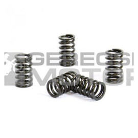 Kuplung rugó szett PROX